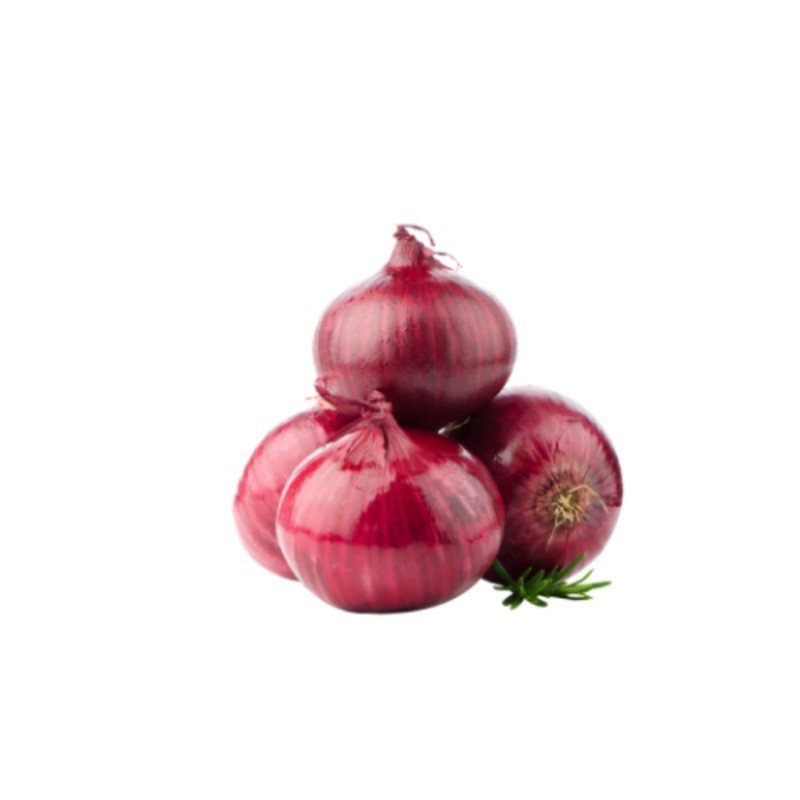 Fresh Onions - Areeqa Enterprises
